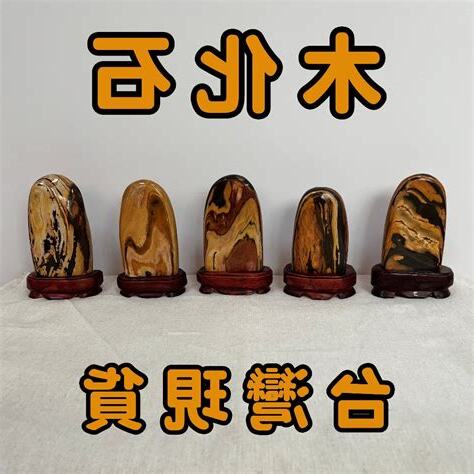 木化玉