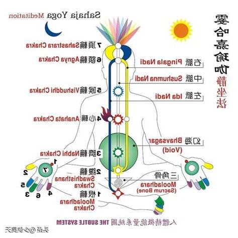 左右脈