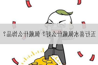 喜水的行业