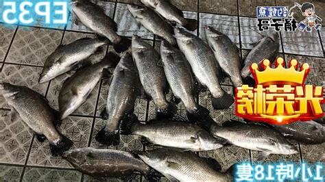 大湖海釣場規則
