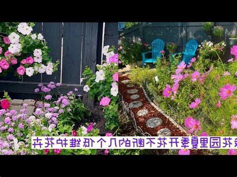 屋前種什麼花好