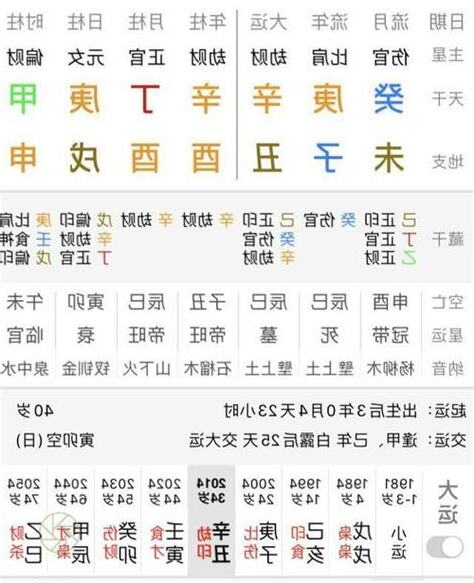 丁巳年五行