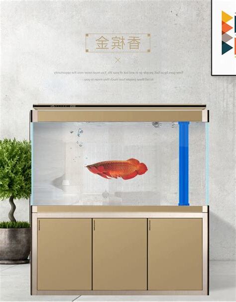 水族箱風水