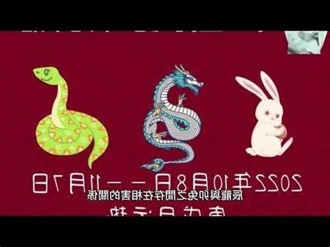 生肖龍配對