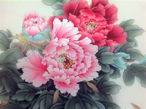 牡丹花寓意