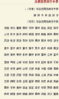 木的名字