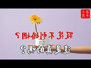 為什麼家裡不能放假花