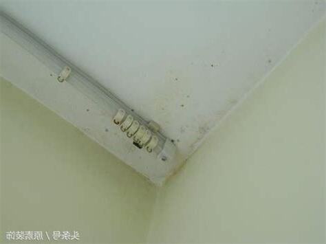 天花板發黴如何處理