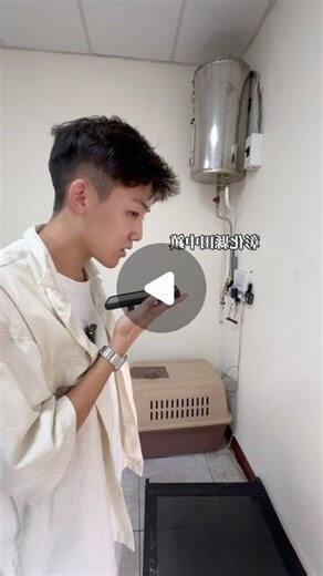 辦公室有蛇