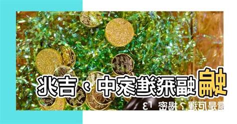 家中飛進蝙蝠