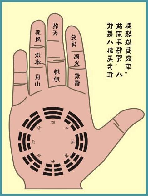 掌中八卦