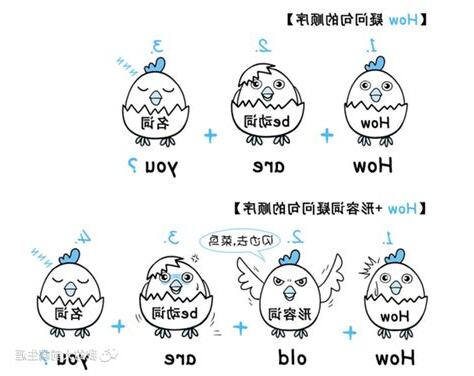 如何意思