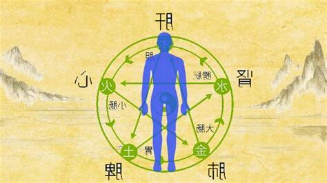 身體五行