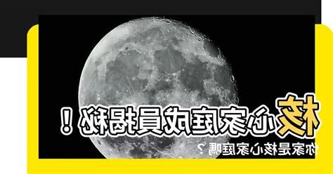 核心家庭成員