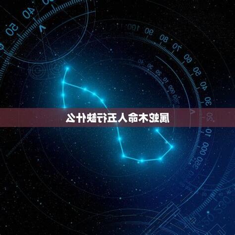 属蛇五行缺什么