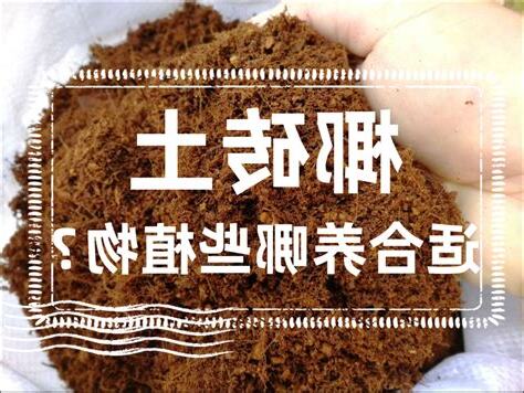 土是