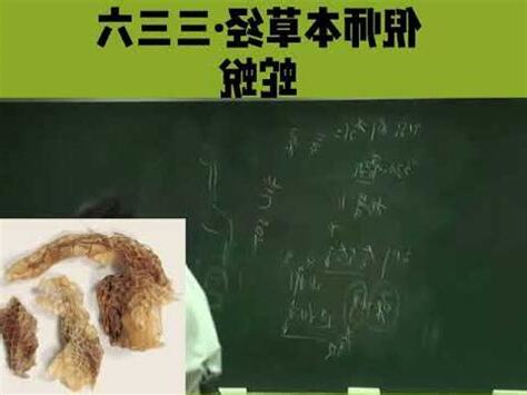 蛇蜕招財