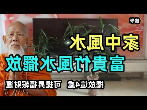 富貴竹放位置