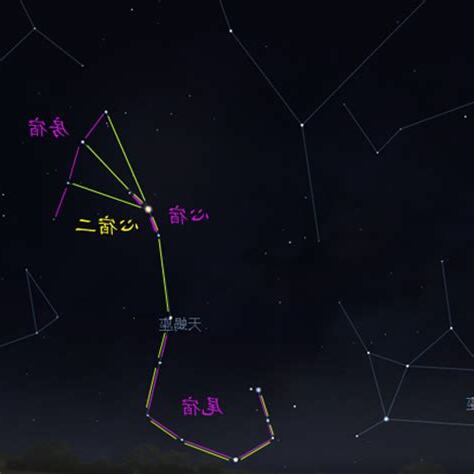 心宿二星