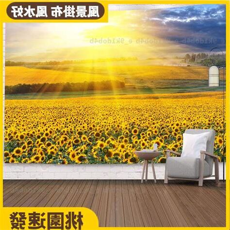 向日葵招財