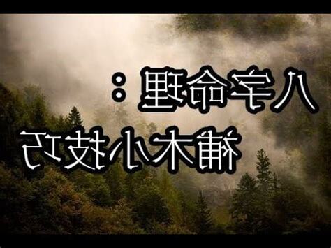 缺木怎麼補