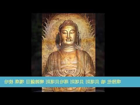 金吉水功效