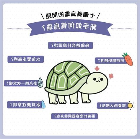 不適合養烏龜的生肖