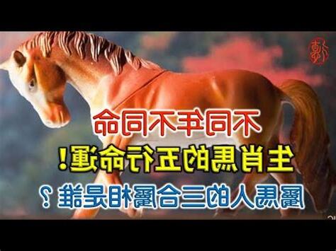 屬馬的人今年幾歲