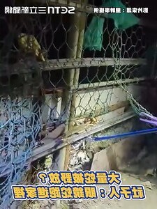 家裡跑進蛇