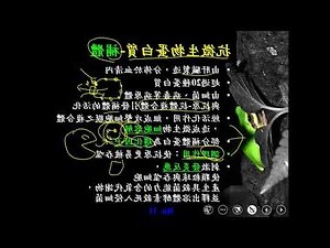 調理作用
