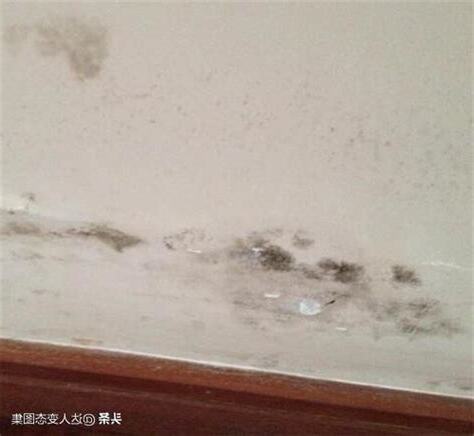 牆角發霉