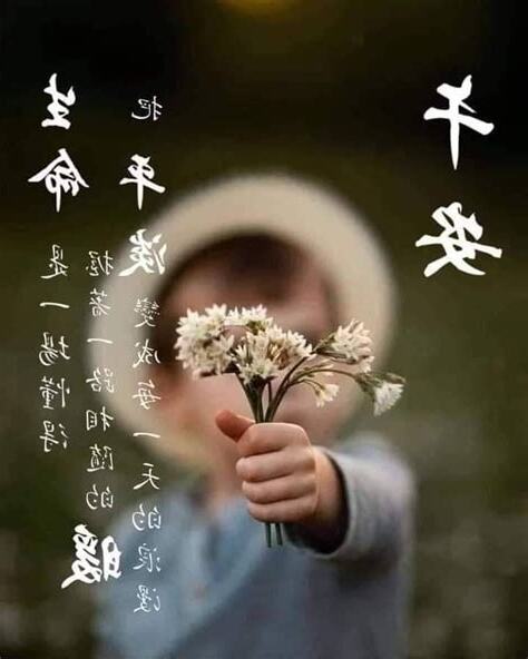 平命