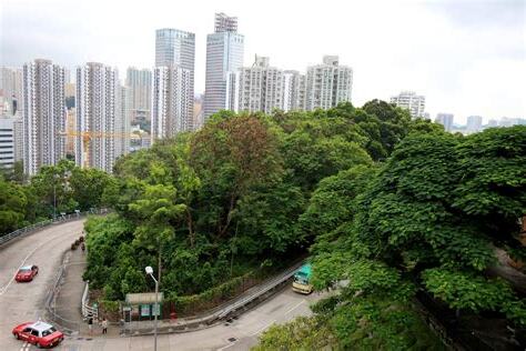 麗祖路公屋幾時派