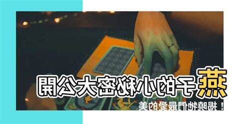 燕子喜歡吃什麼