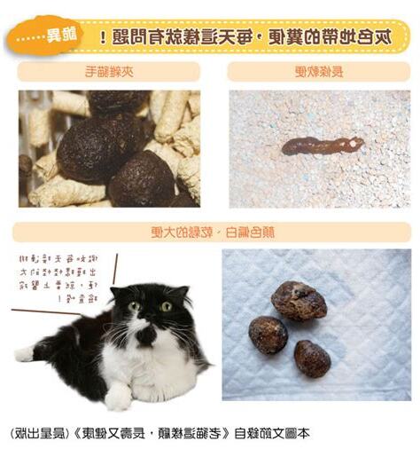貓在門口大便風水
