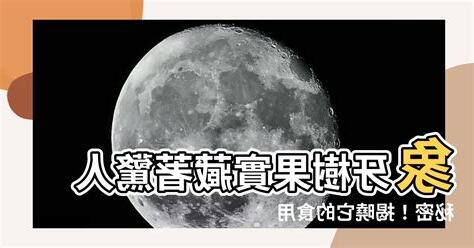 象牙樹果實可以吃嗎