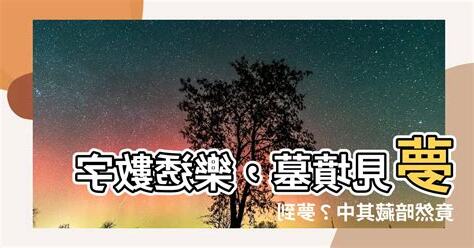 夢見墳墓是幾號
