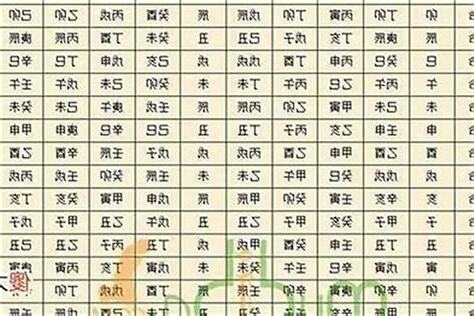 癸丑五行