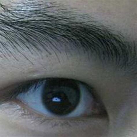 掃帚眉