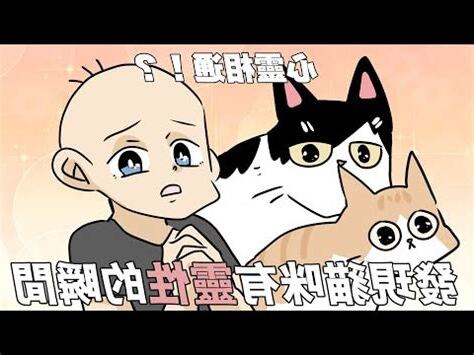 貓咪有靈性嗎