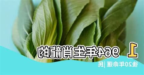 1964屬什麼