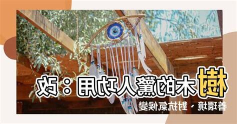 樹木的功用