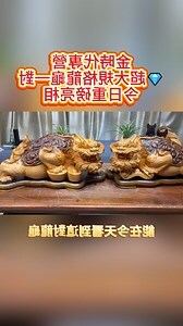 龍龜一對