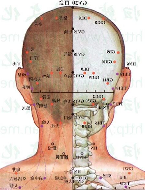 腦清穴