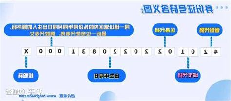 号码代表