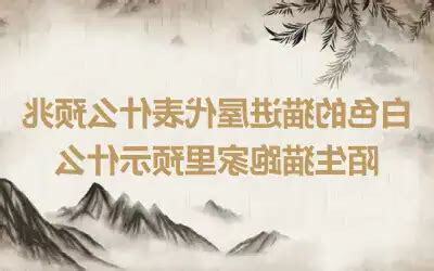 猫进屋子代表什么