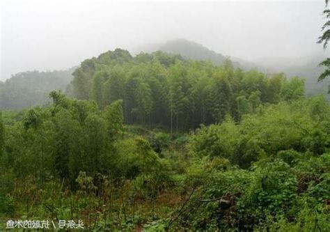 破風水