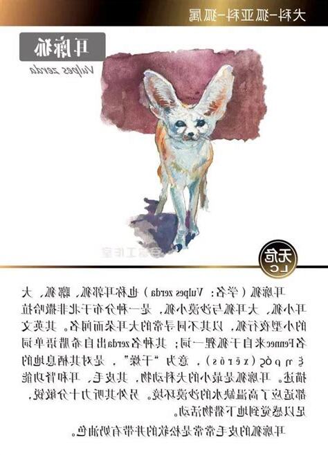 狐狸象徵