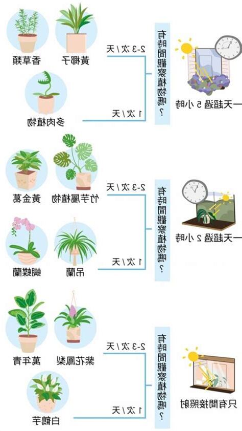 房間可以種植物嗎