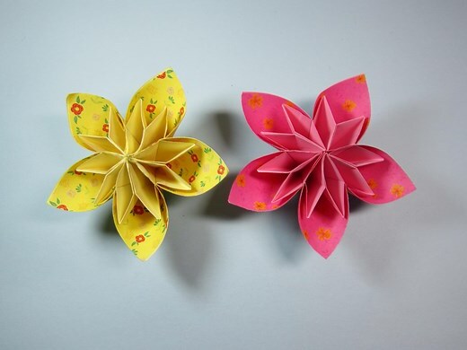 花朵大全